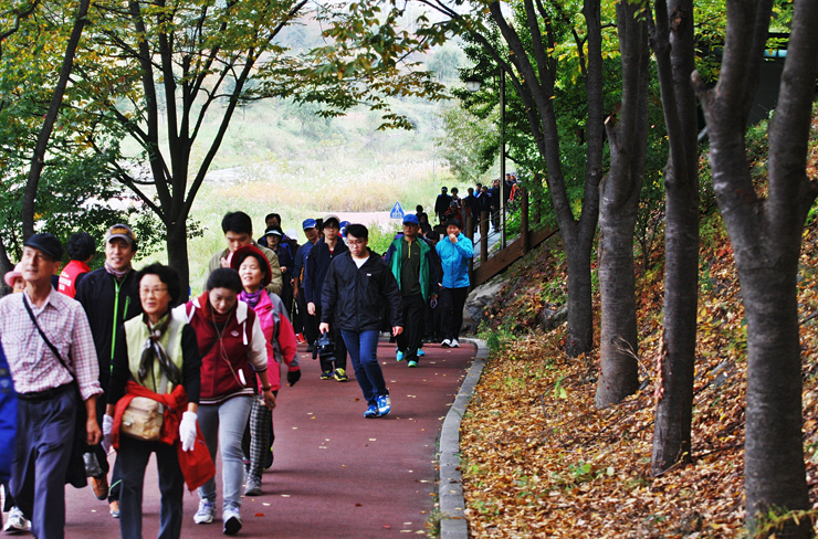 강남걷기