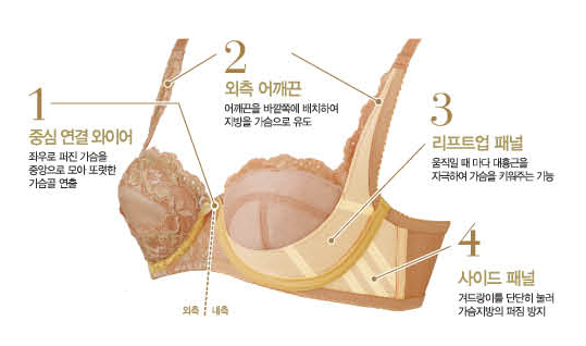 엑사브라